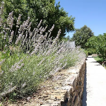Hotel Logis Restaurant Le Domaine De L'eau Vive